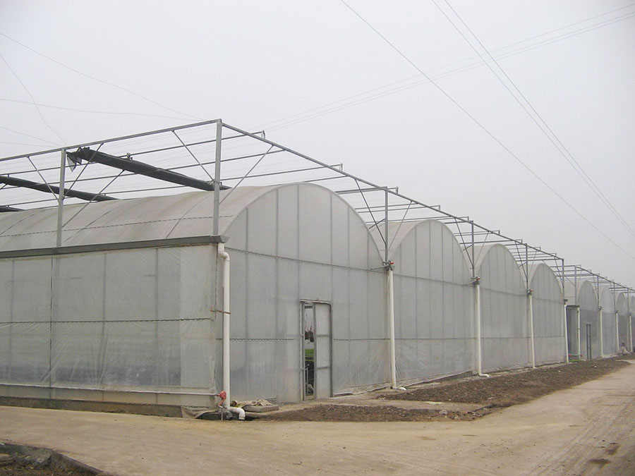 連棟薄膜溫室