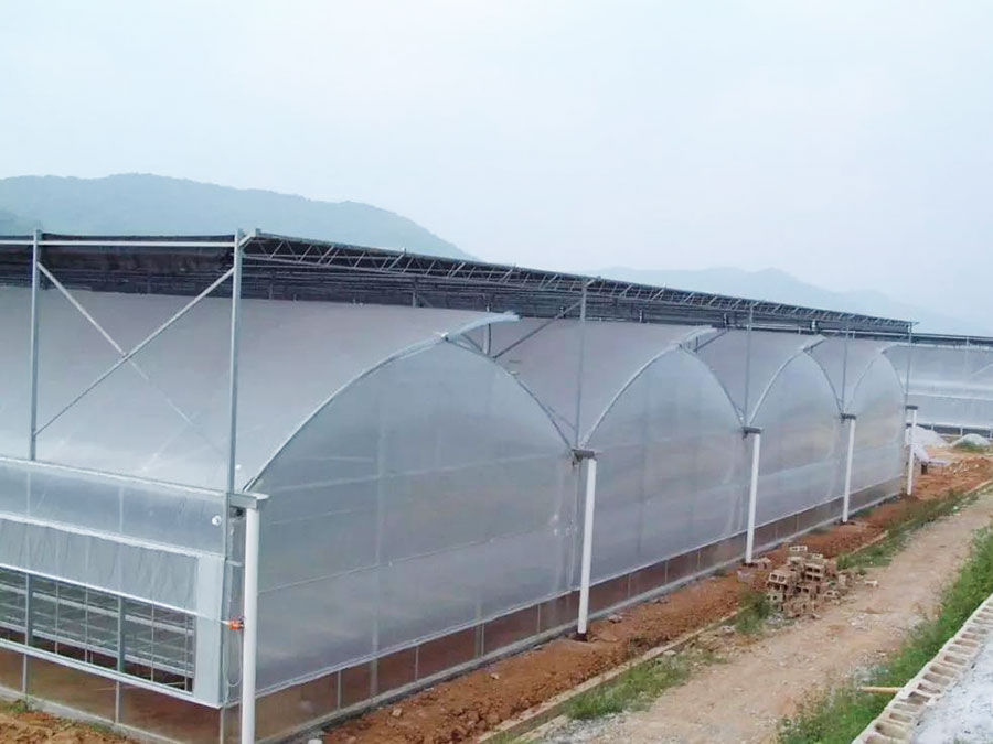 連棟薄膜溫室