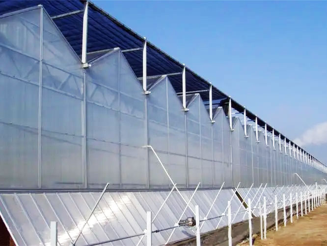 陽(yáng)光板溫室